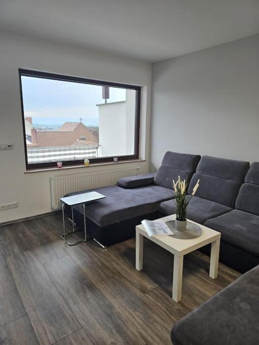 Gemuetliche Ferienwohnung Mülheim-Kärlich Buitenkant foto